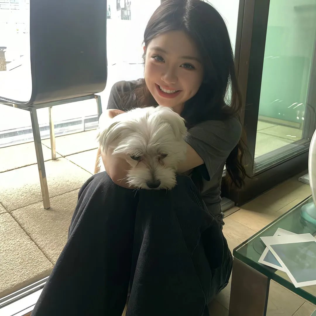 鲨鱼侵袭